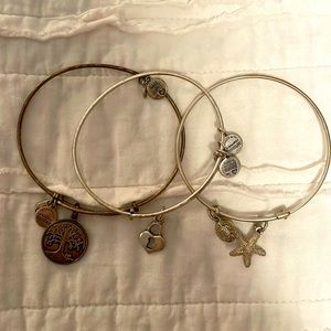 Alex and Ani silver bracelet (set of 3)